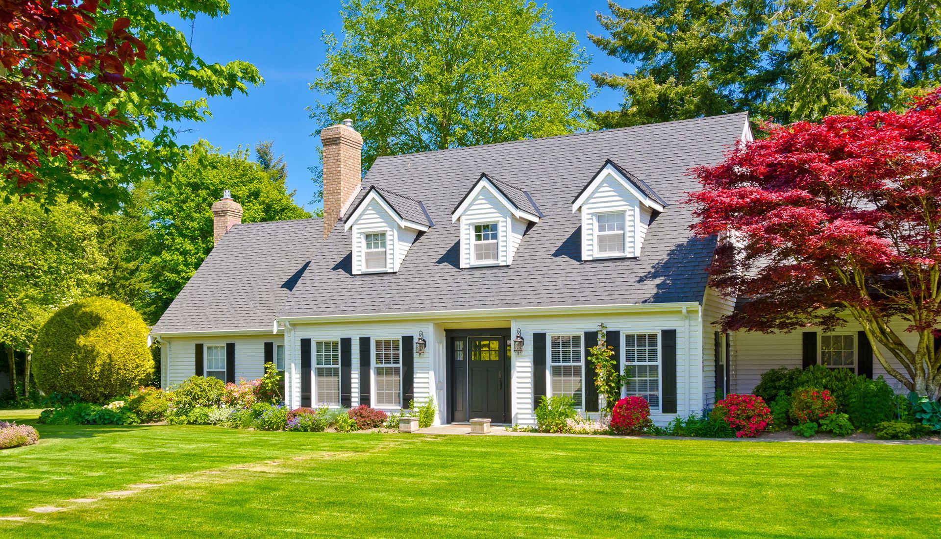 Empty white background.