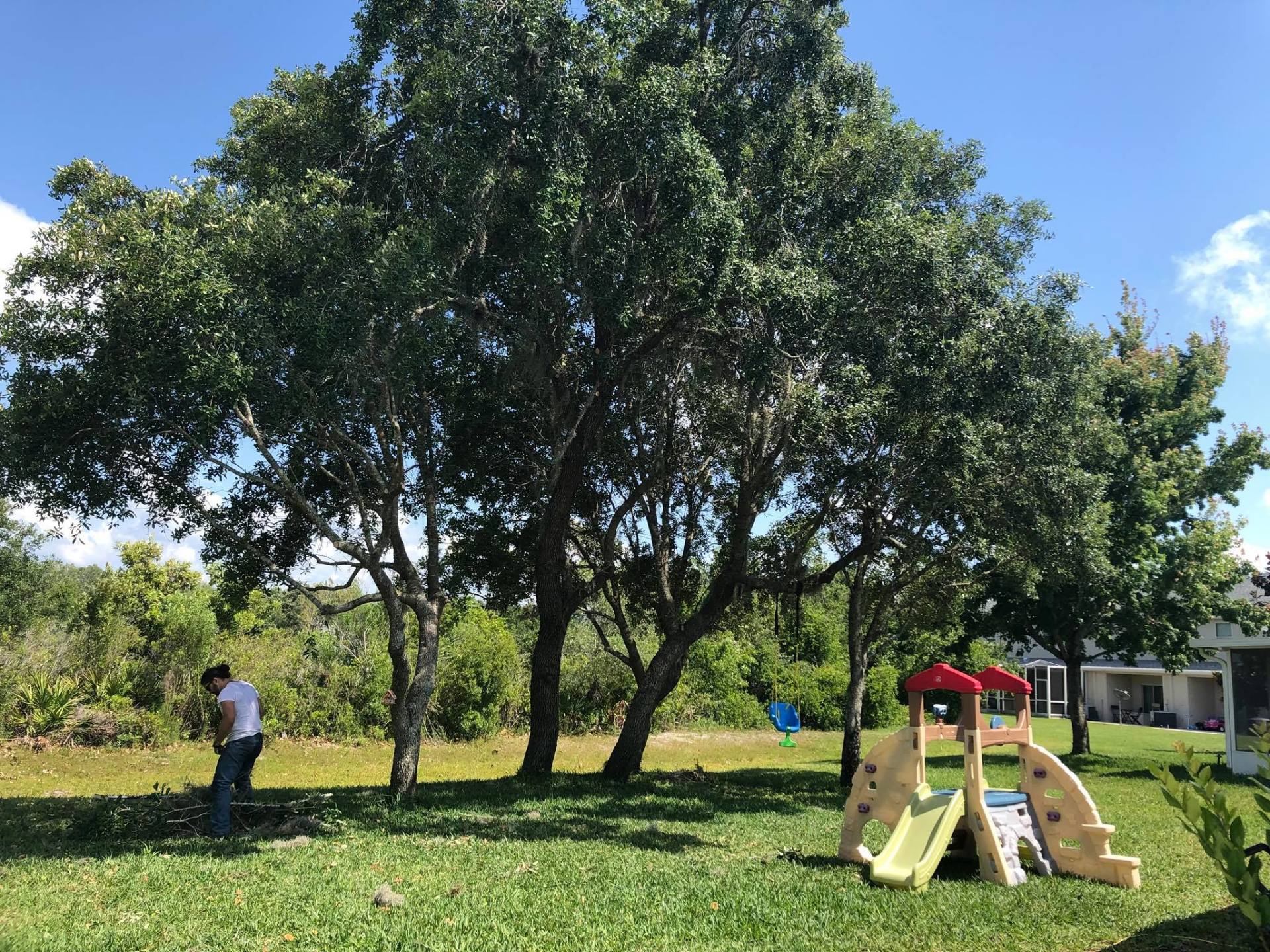 About A Baker's Tree Service Tampa, FL A Baker's Tree Service