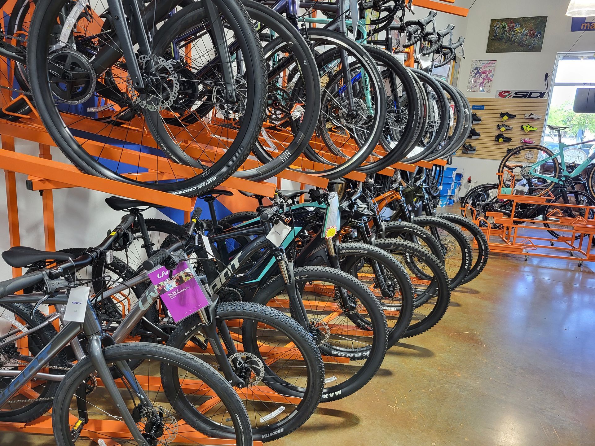 bicycles on a rack for sale in Tucson