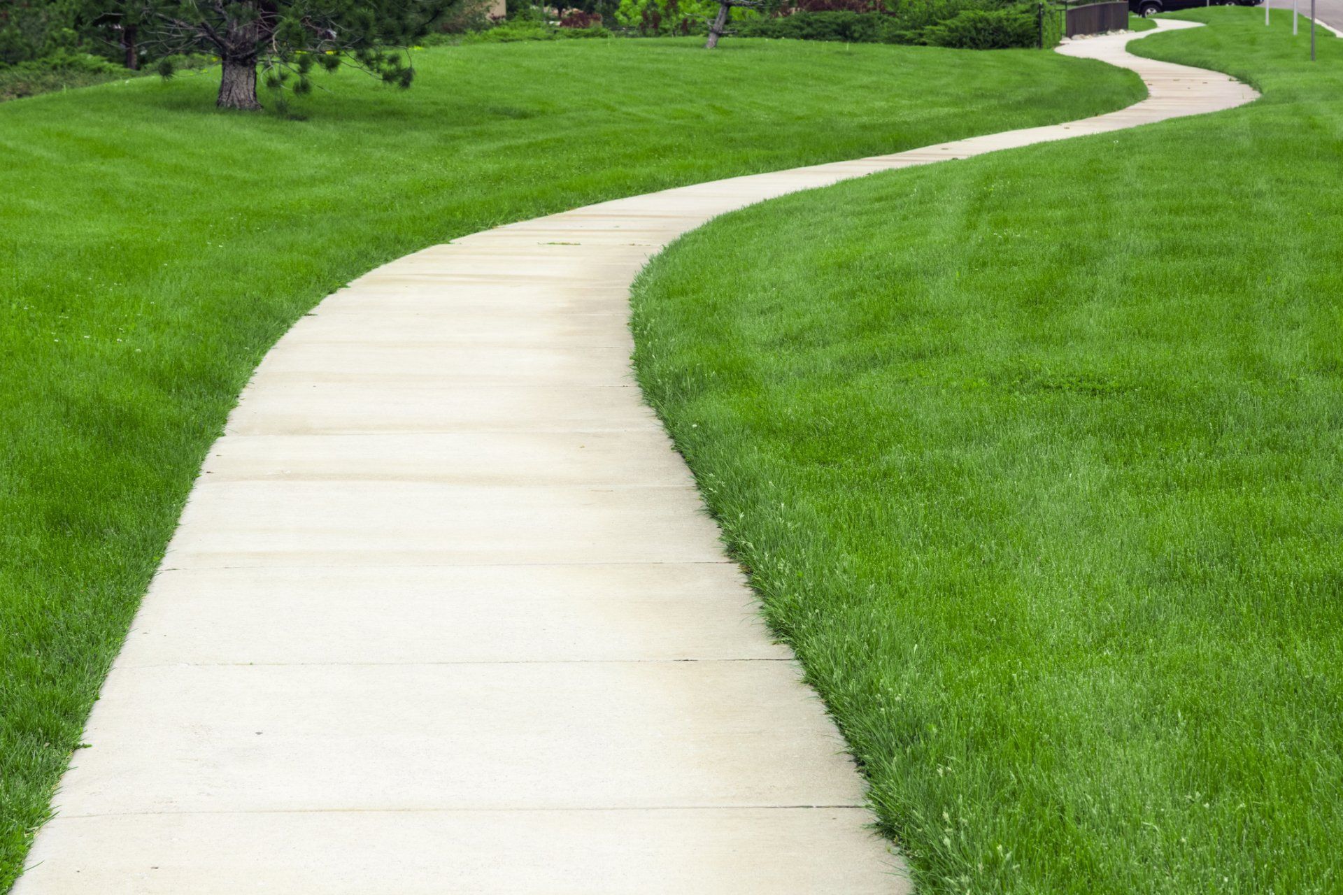 Winding concrete sidewalk through a bright green grassy park