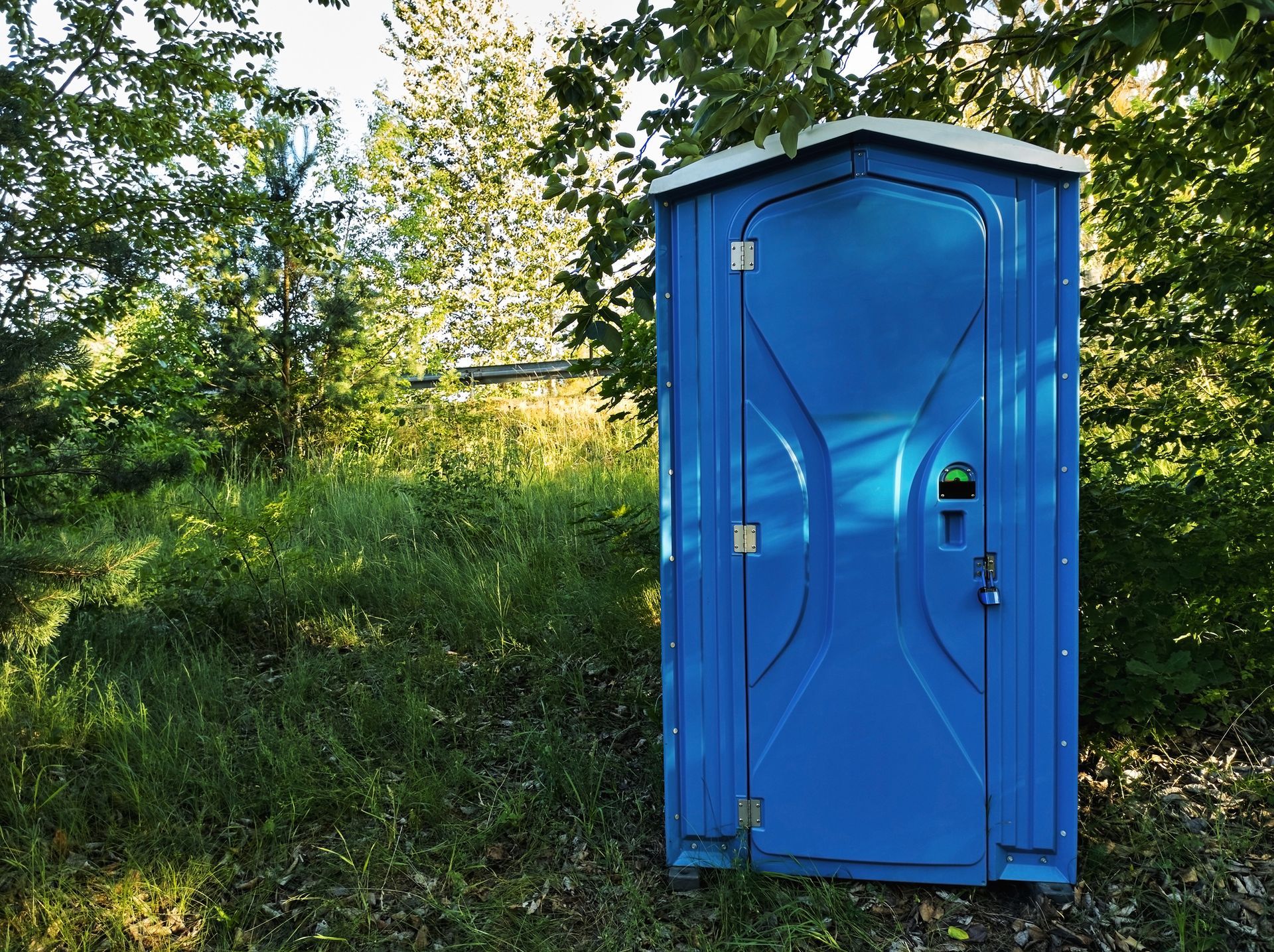 Blue portable toilet in a grassy area next to trees, lit by sunlight.