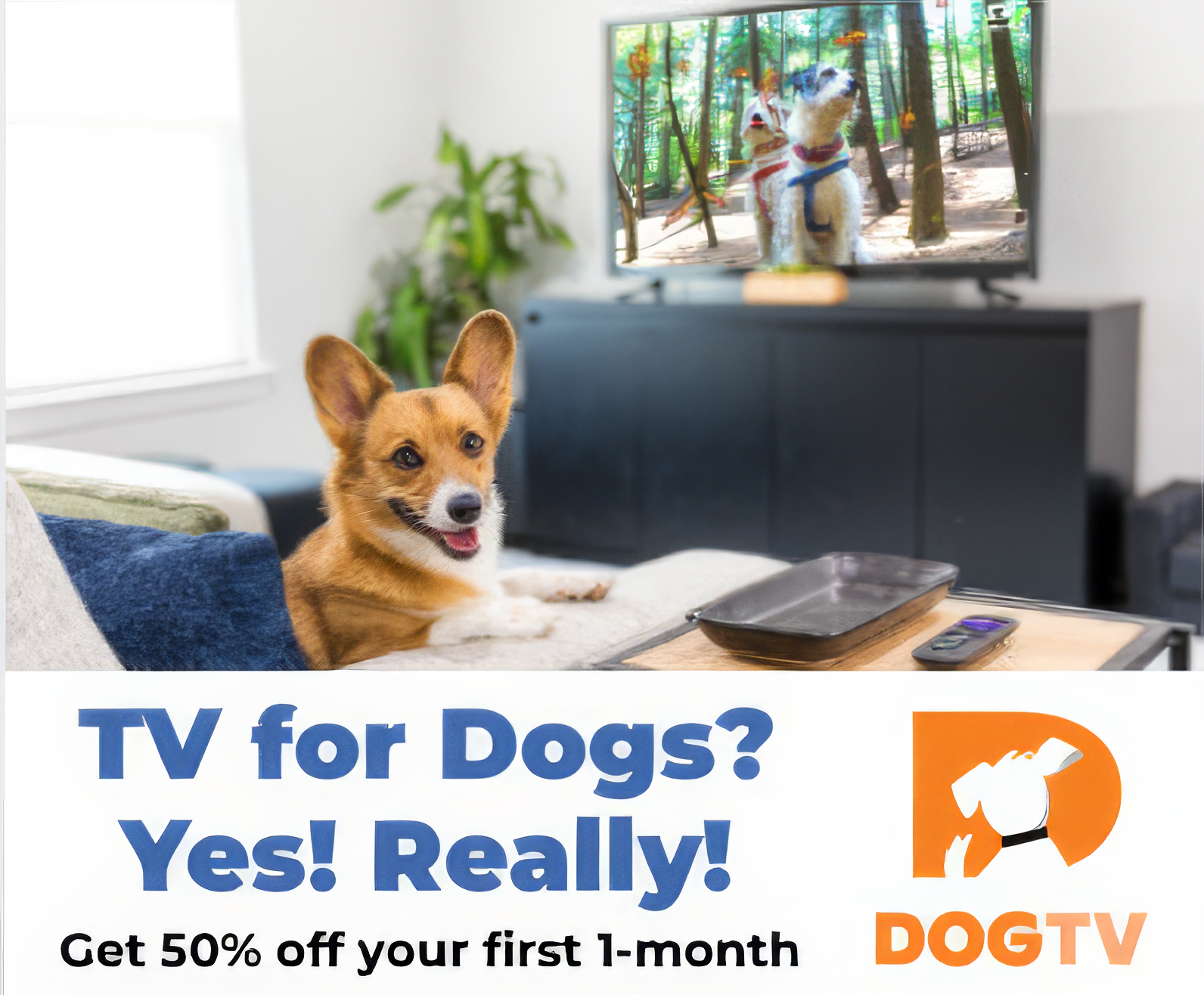 A dog sitting on a couch in front of a tv that says 