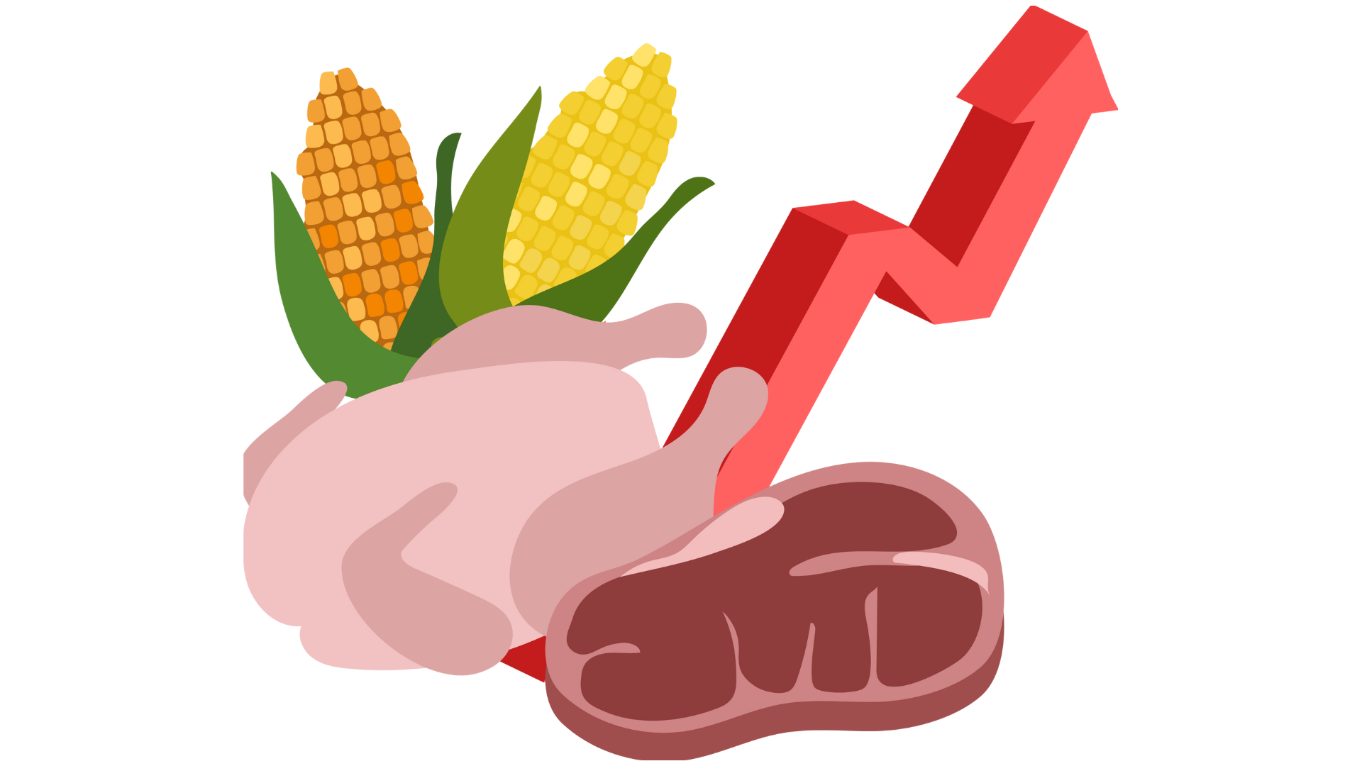 A drawing of a chicken corn and a steak with an arrow pointing up