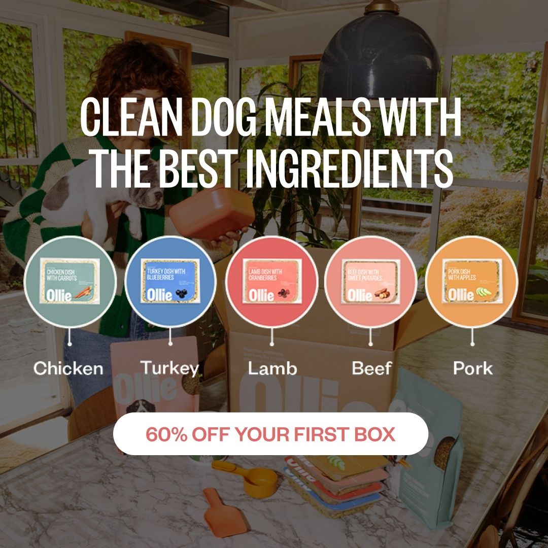 An advertisement for clean dog meals with the best ingredients