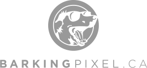 Barking Pixel design