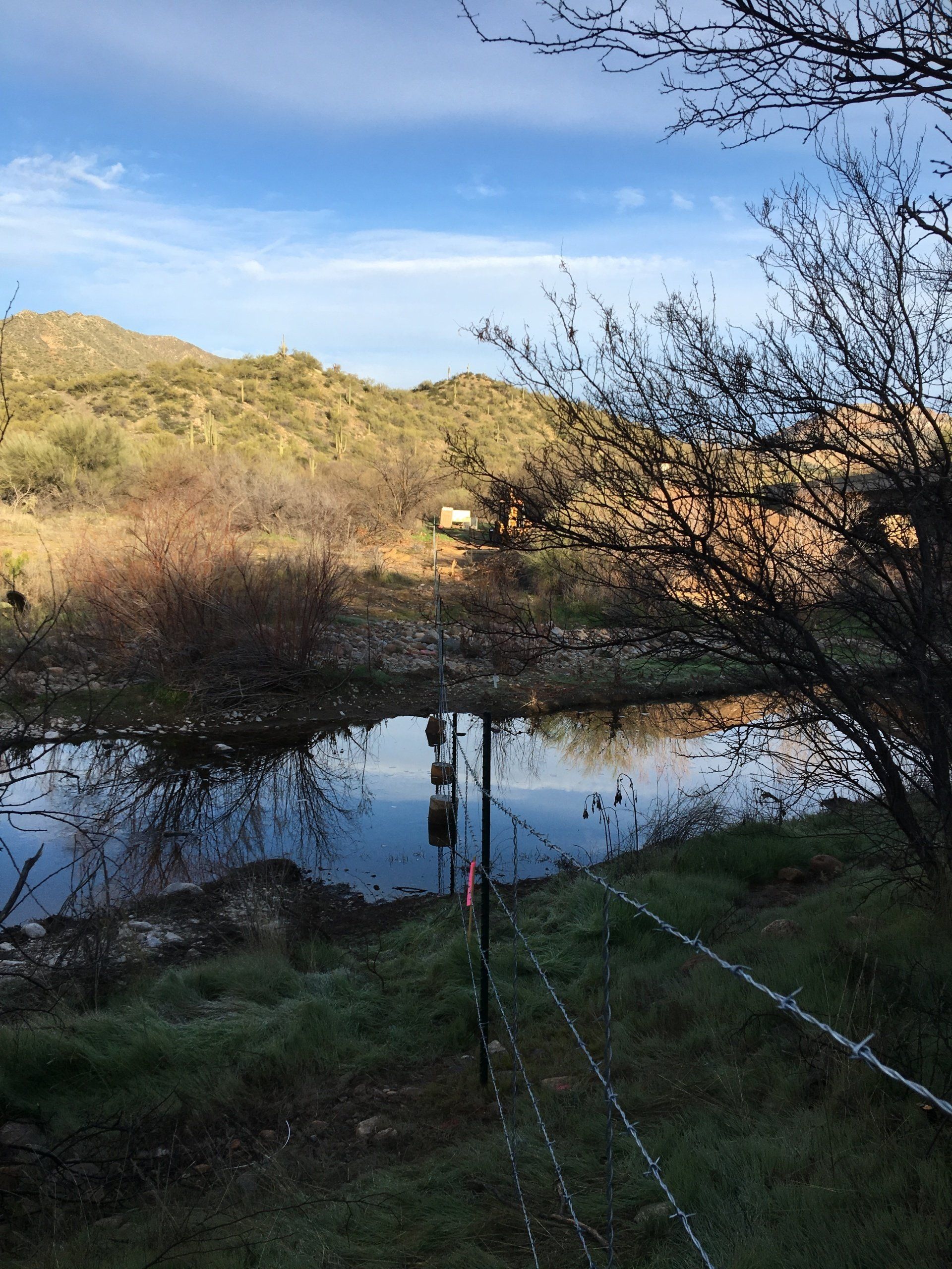 A calm pond reflects a blue sky and distant hills, framed by a barbed-wire fence and bushes.
