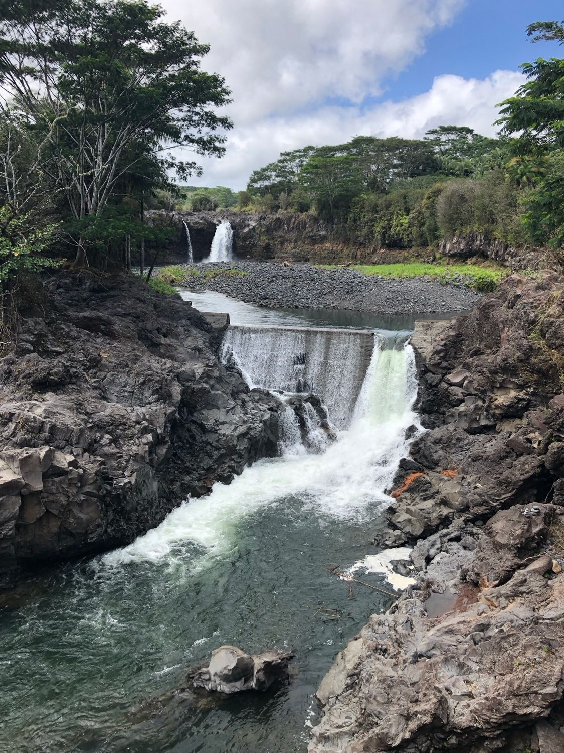 Water and a fountain surrounded by trees