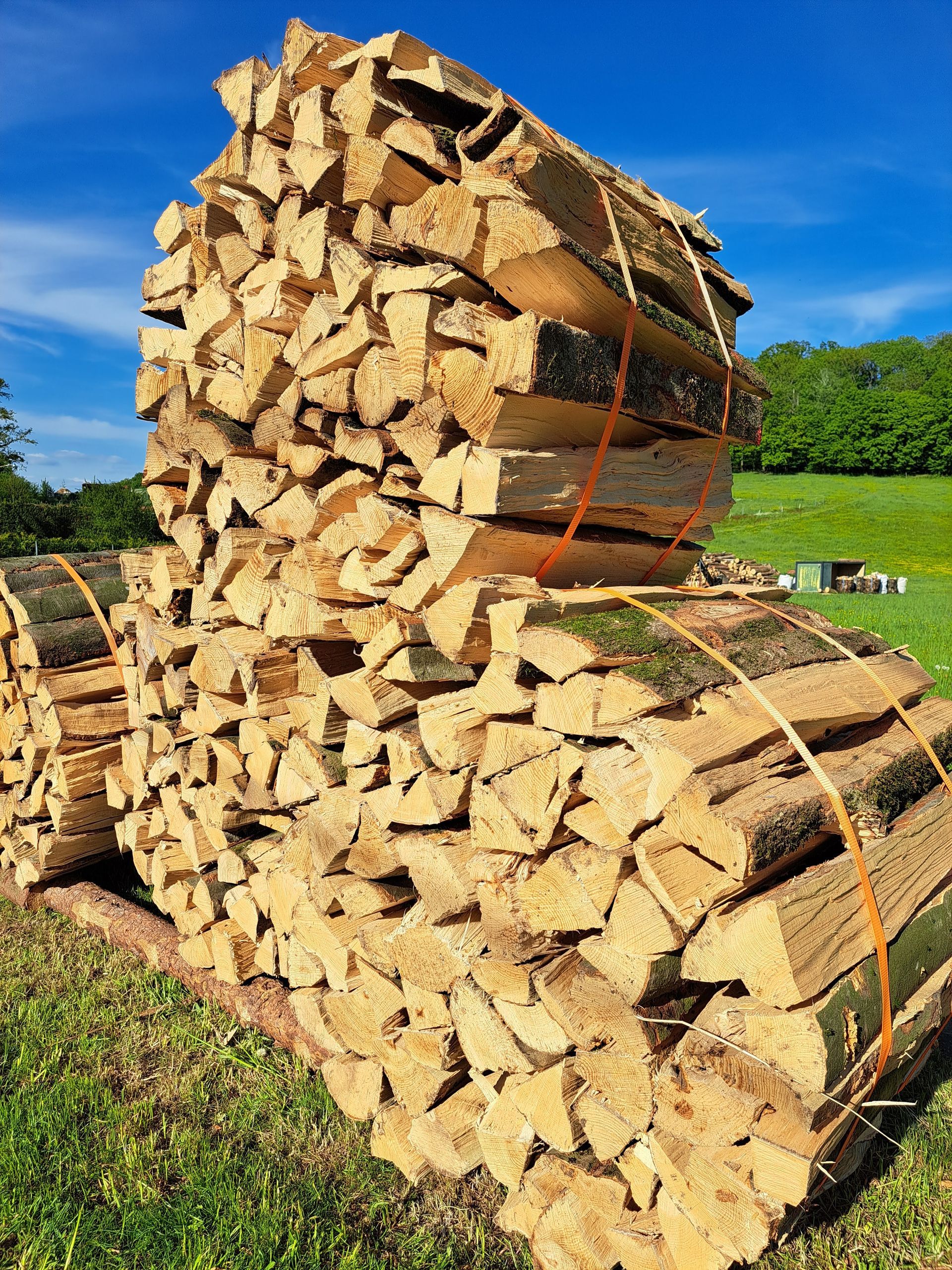 Bundles of split firewood stacked outside on grass. Blue sky in background.
Zwickau