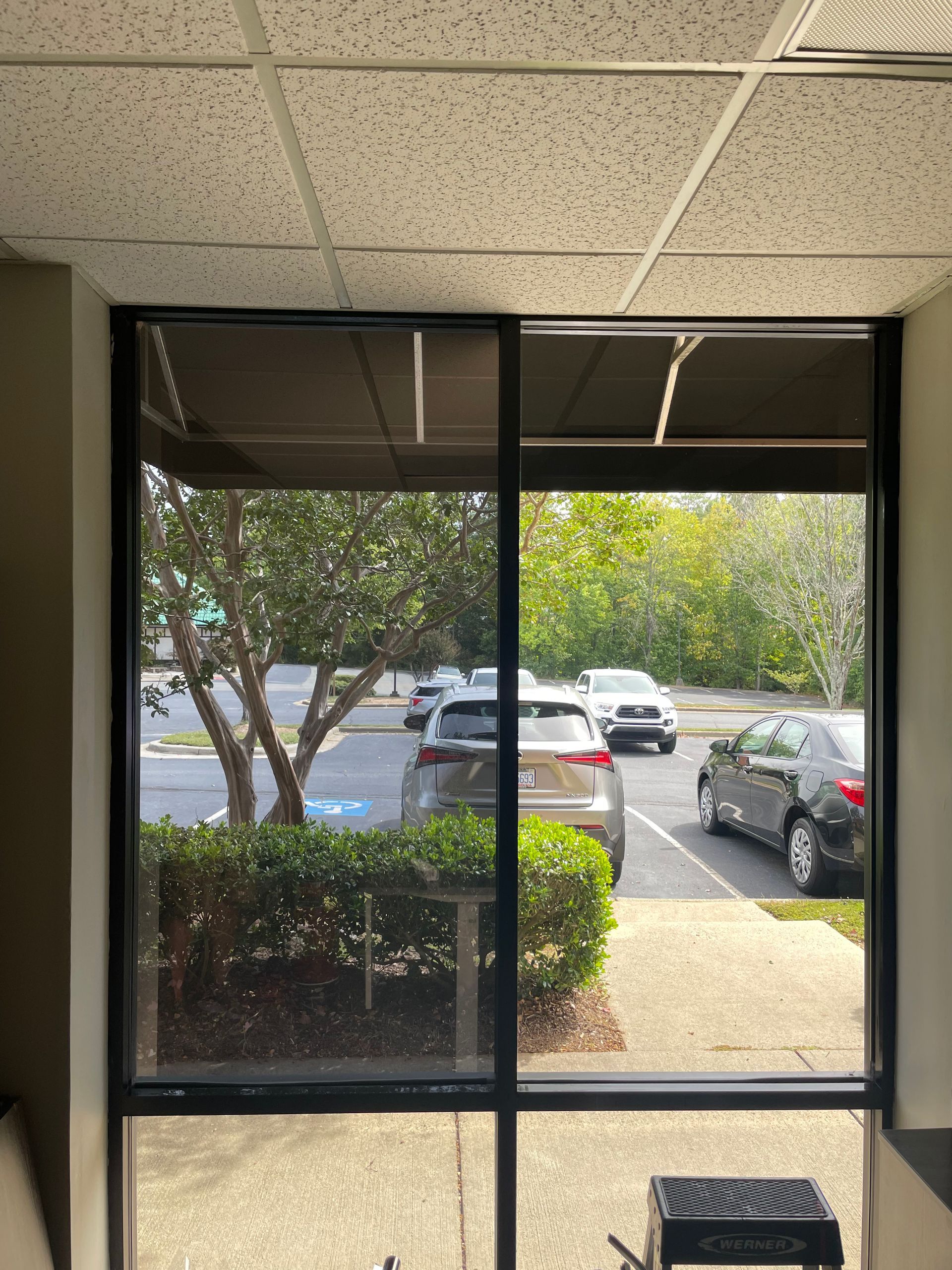 A view through a large window showing a parking lot with several cars, a green bush, and trees on an overcast day.