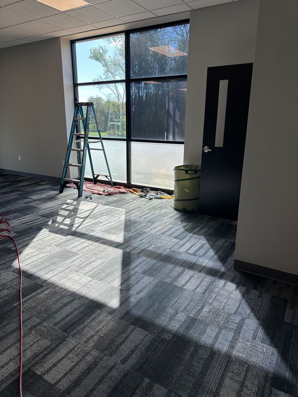 A step ladder stands in a sunlit room with grey carpet, a large multi-pane window, and a closed dark door.