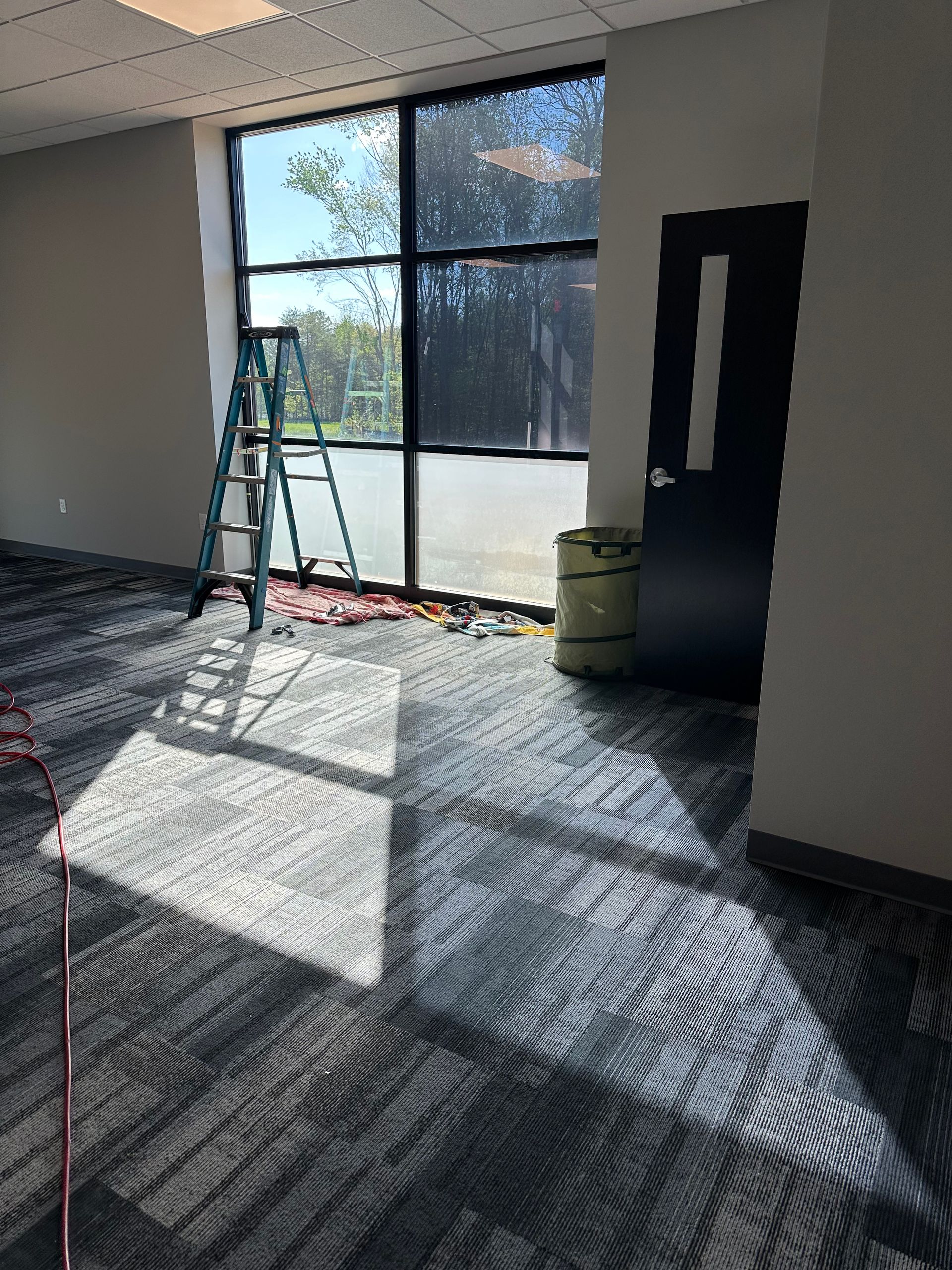 A ladder stands in a bright room with patterned carpet, a large multi-pane window, and a dark door.