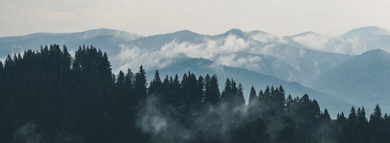 Misty treetops with mountains in the background