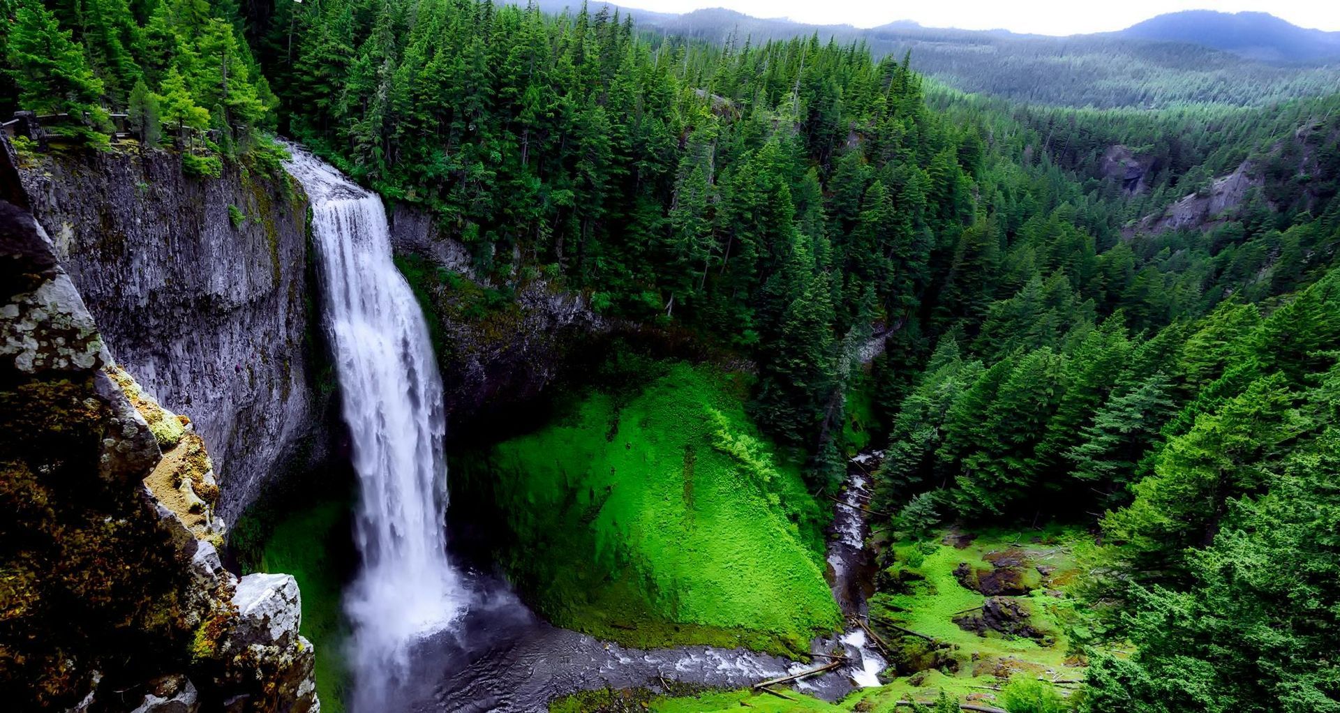 Waterfall surrounded by green forest