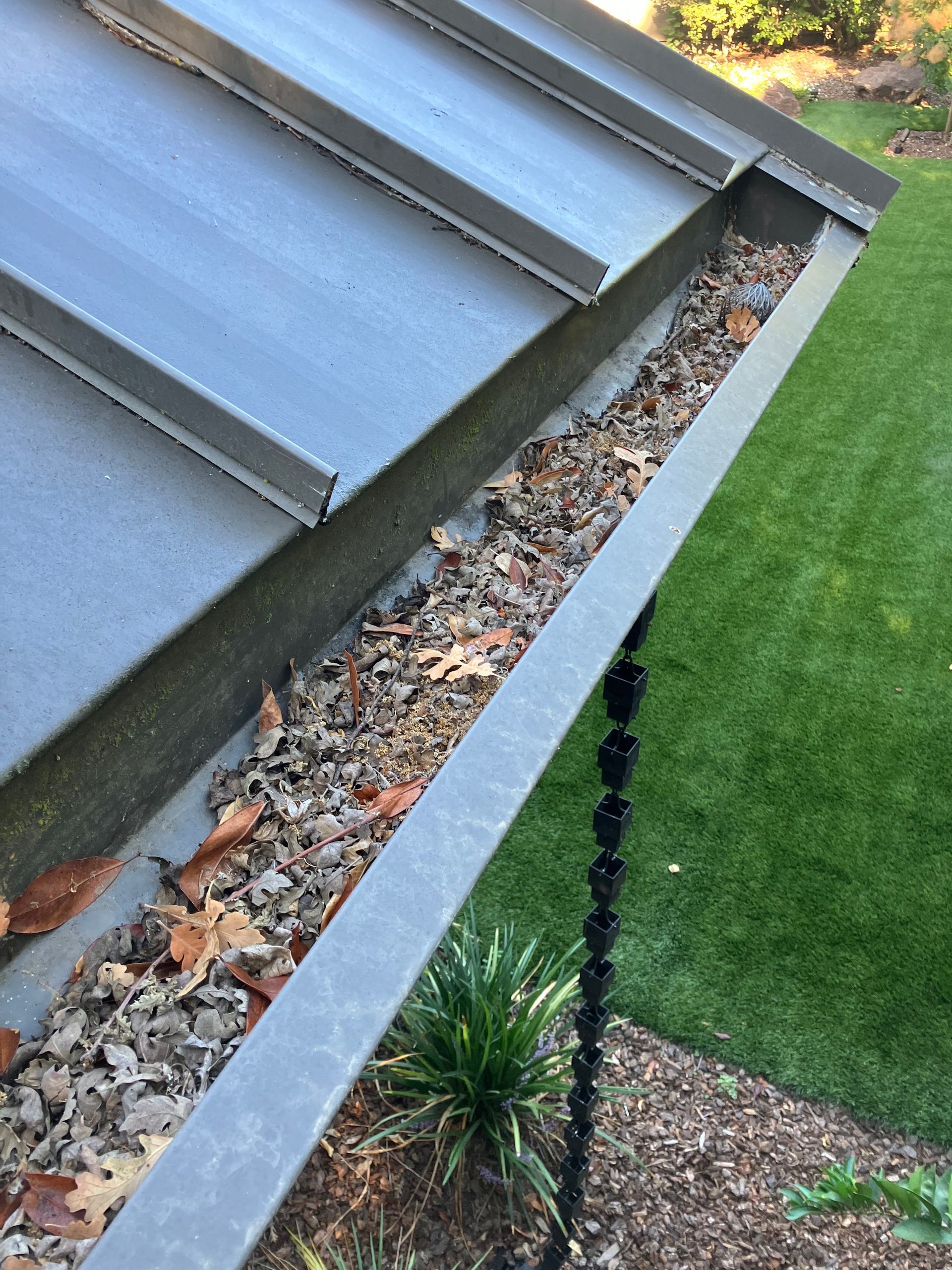 Gutter filled with dead leaves, on a gray metal roof next to a green lawn.