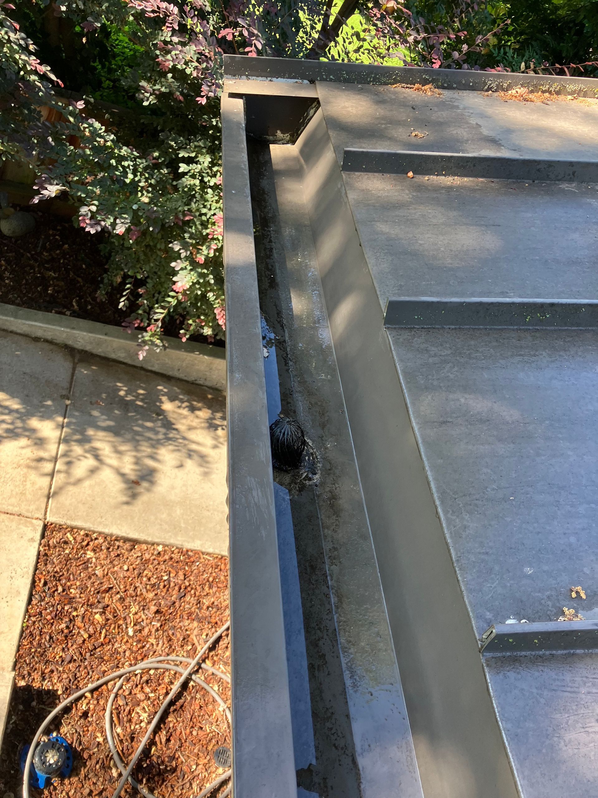 Dark roof gutter filled with debris, viewed from above, with a small, open drain.