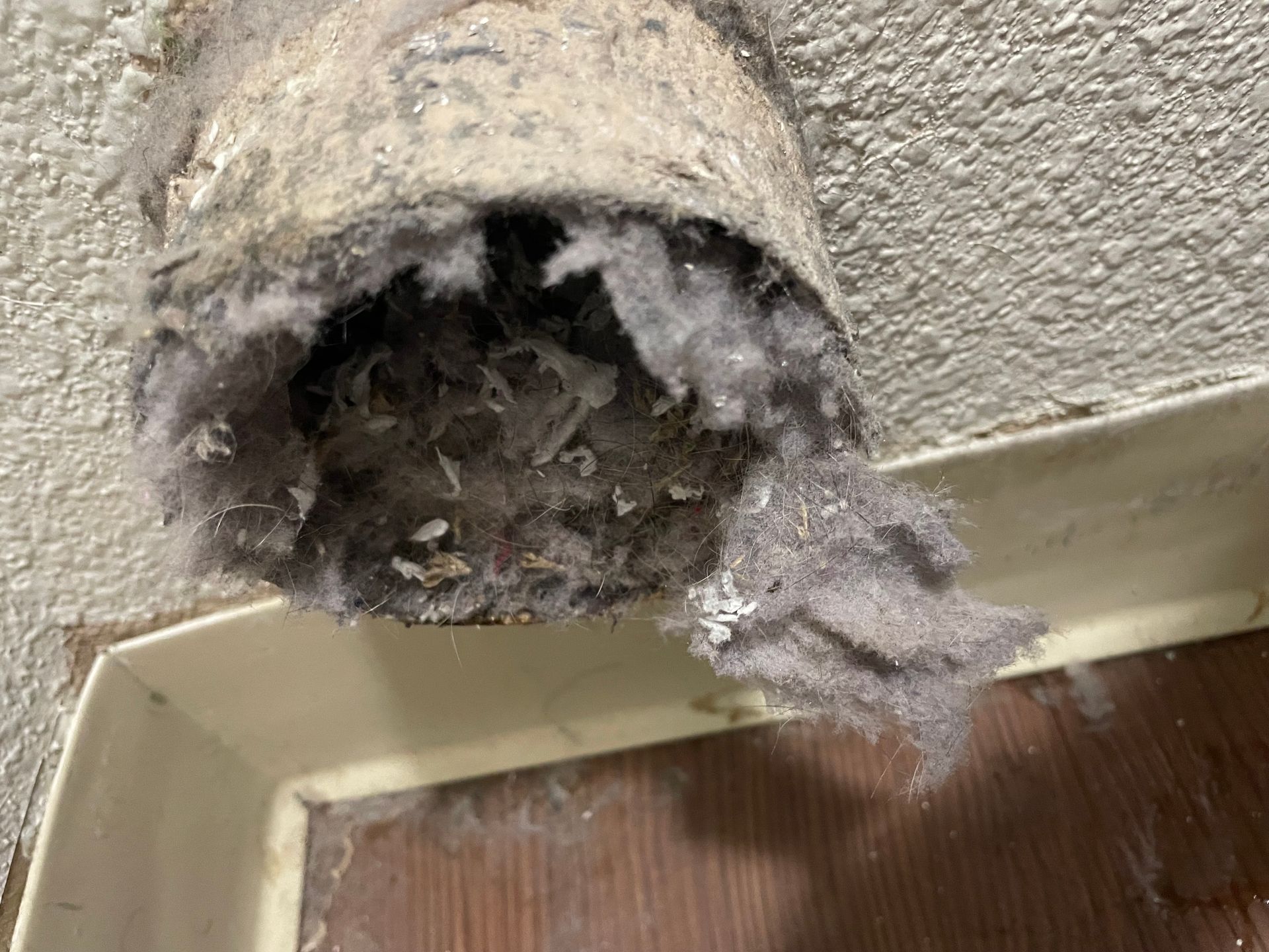 Lint-filled dryer vent opening against a wall. Fluffy gray lint buildup blocks the air passage.