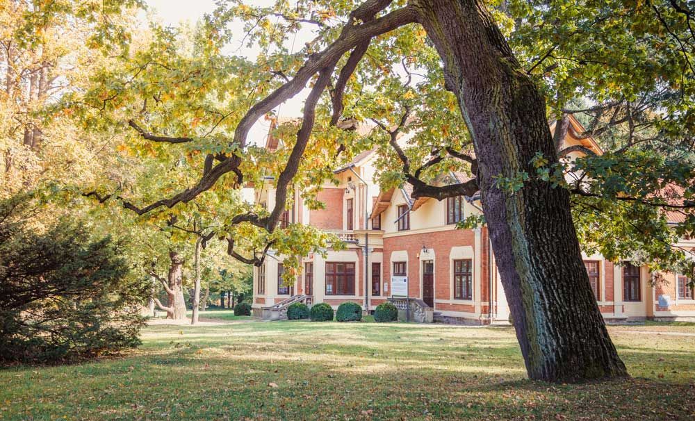 A large tree in front of a large building in a park.