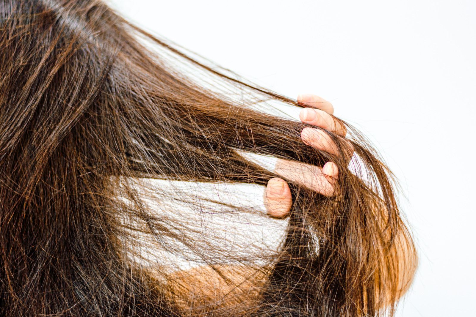 Hand running through long, brown hair against a white background.