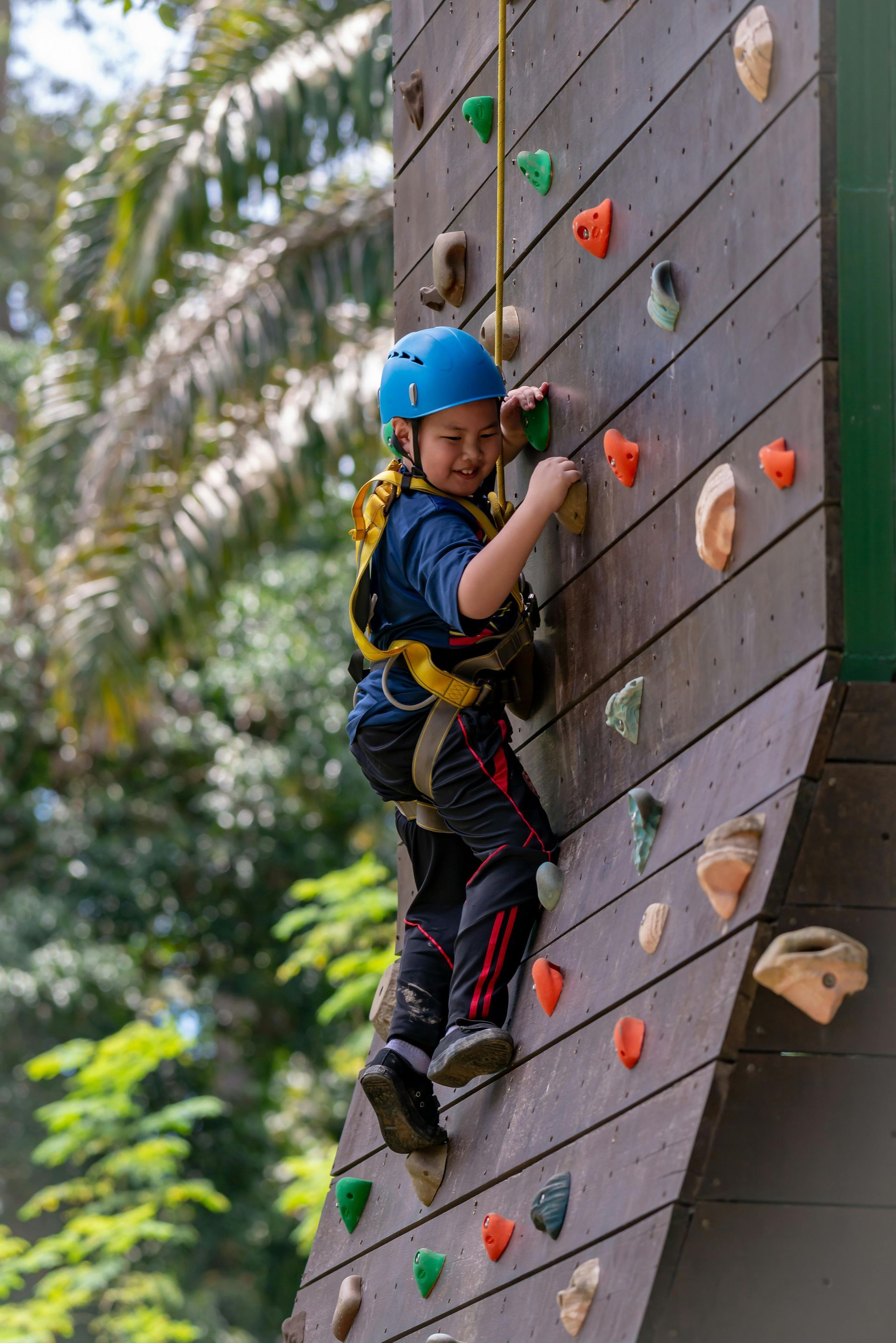 A child in a safety harness and blue helmet climbs a wooden climbing wall outdoors, reaching for a hold.