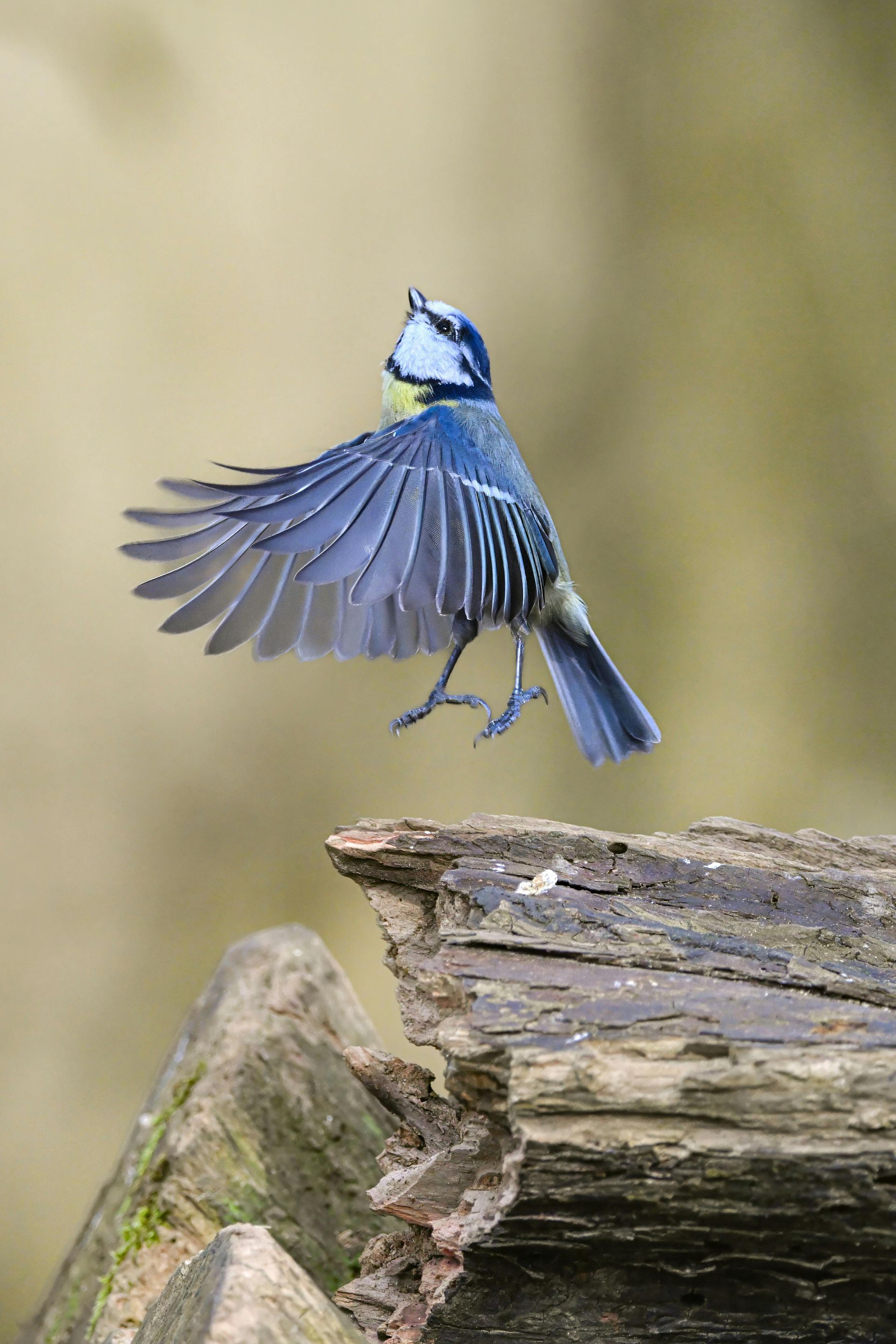 Nighttime aerial view of Columbus, Ohio, with highway traffic and city lights under a dark sky.