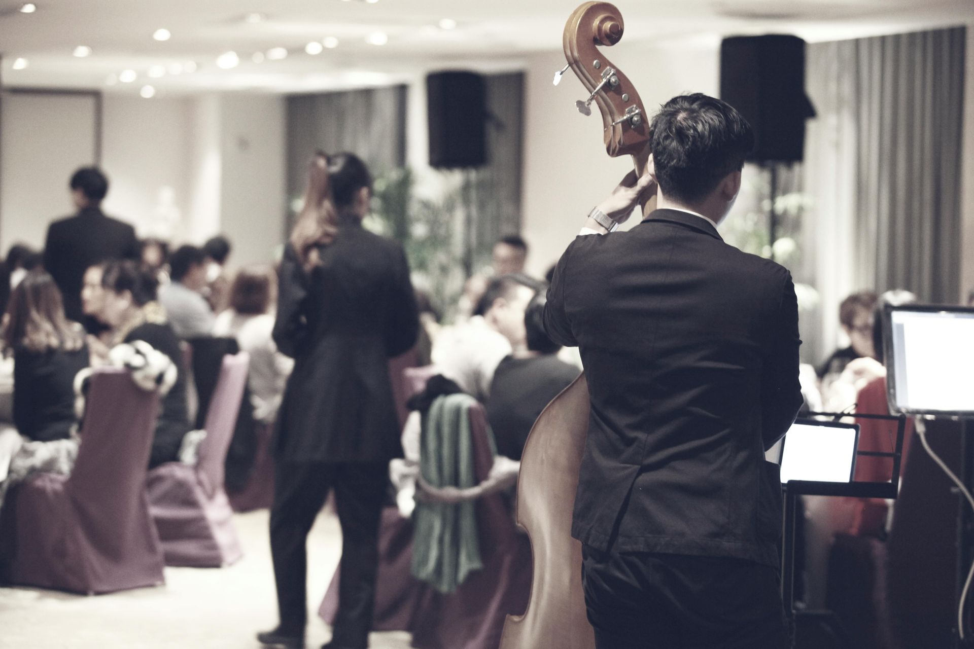 Musician playing double bass at an event, guests seated at tables in a room.