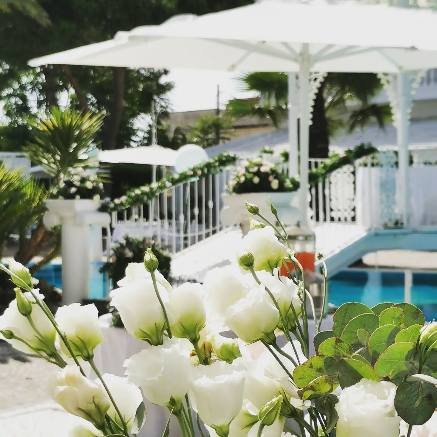 allestimneti floreali