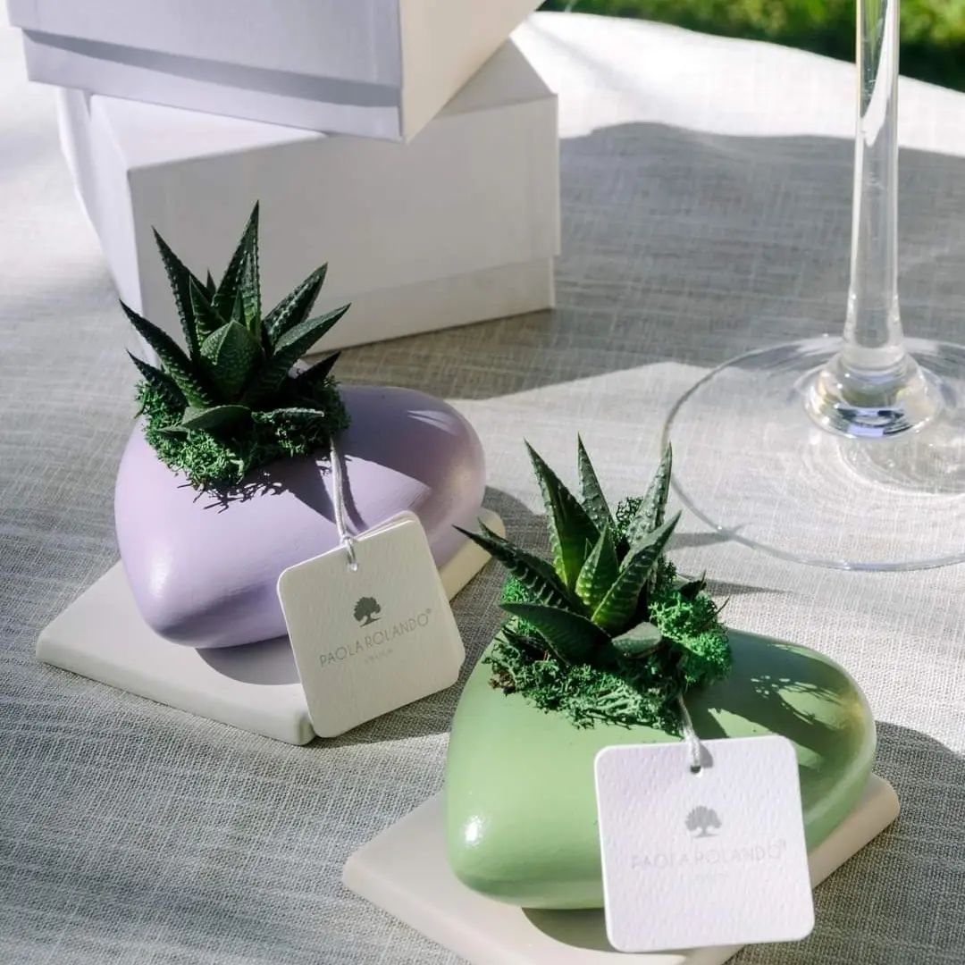 piante in vaso a forma di cuore