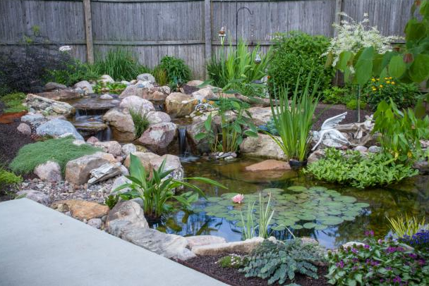 A pond surrounded by rocks and plants in a backyard.
