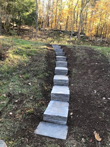 A row of stone steps leading up to a forest.