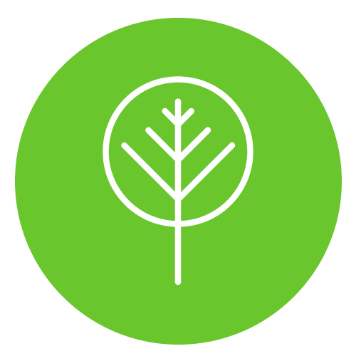 Sesiones individuales