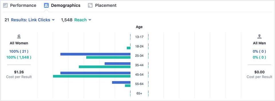 Facebook PPC Campaign