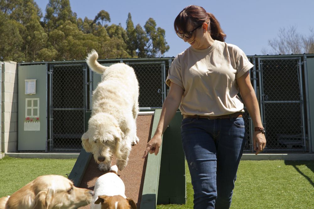 a woman is walking with two dogs in a kennel