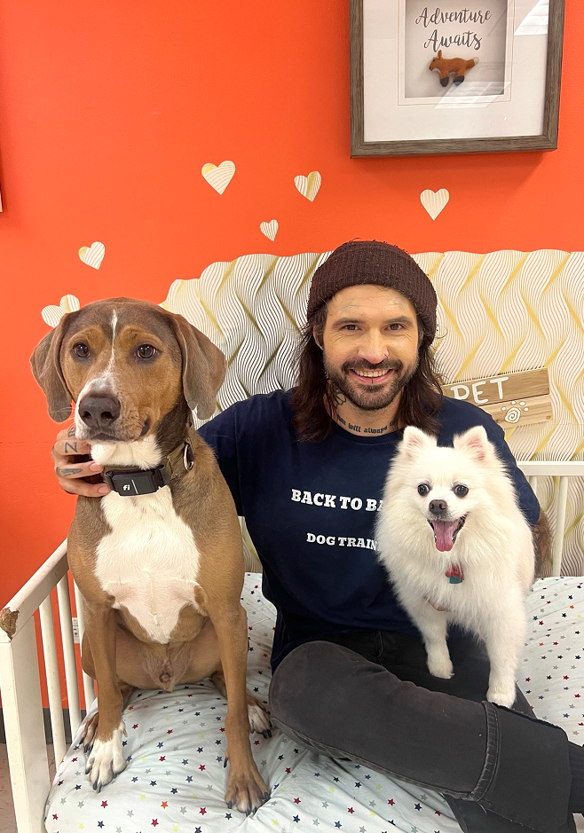 Man sits with two dogs on a crib mattress in a room with orange walls and heart decorations.