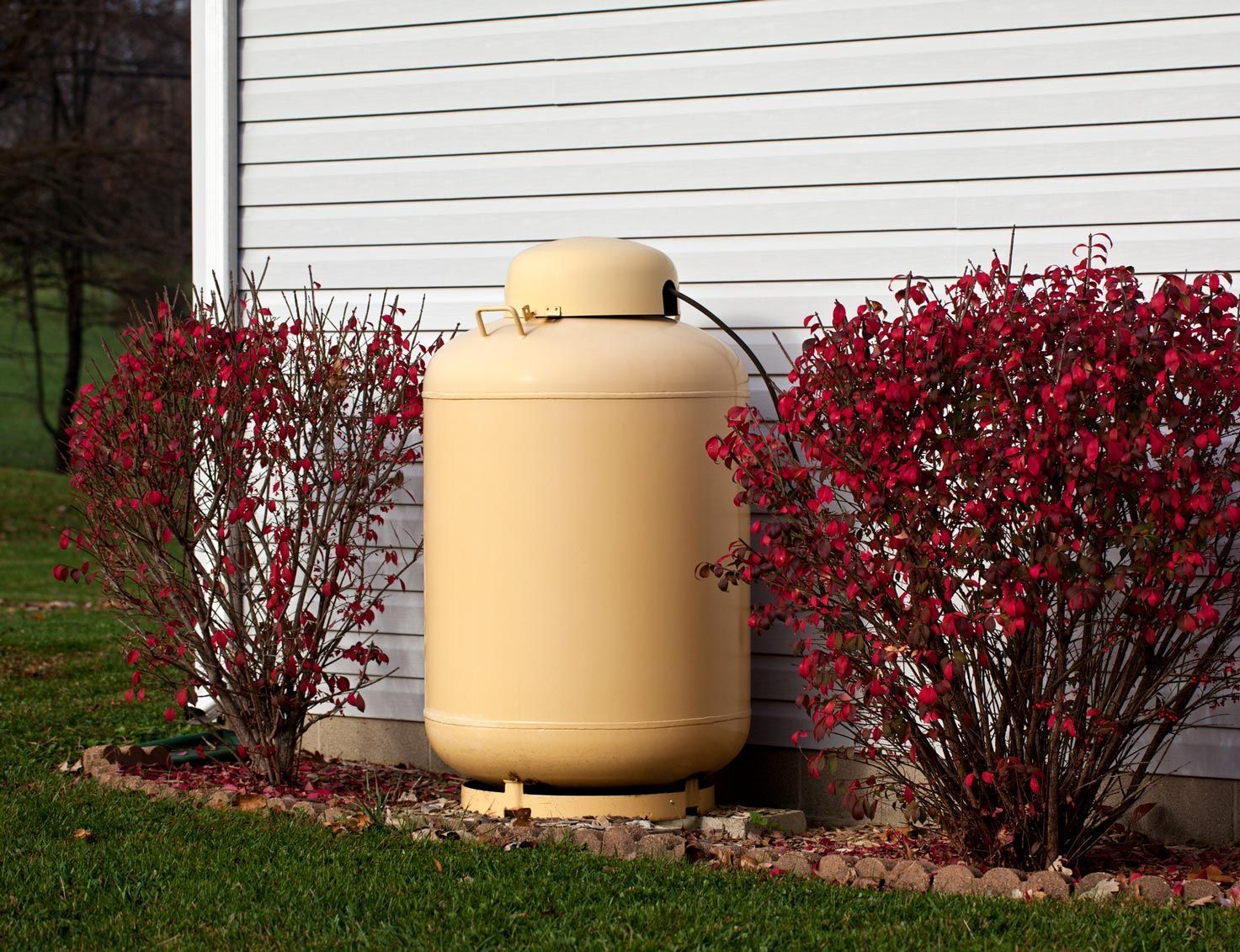 Propane tank beside a building, flanked by red bushes, on green grass.