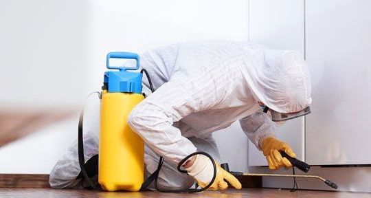 Man in PPE performing mold remediation, spraying under cabinets