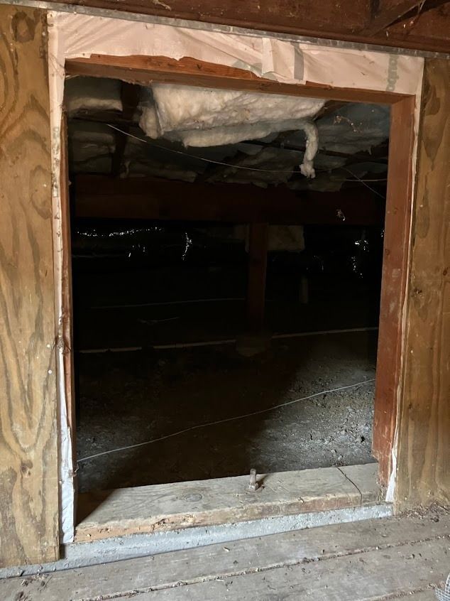 Open rectangular doorway leading into a dark crawlspace. Wooden frame with visible insulation above.