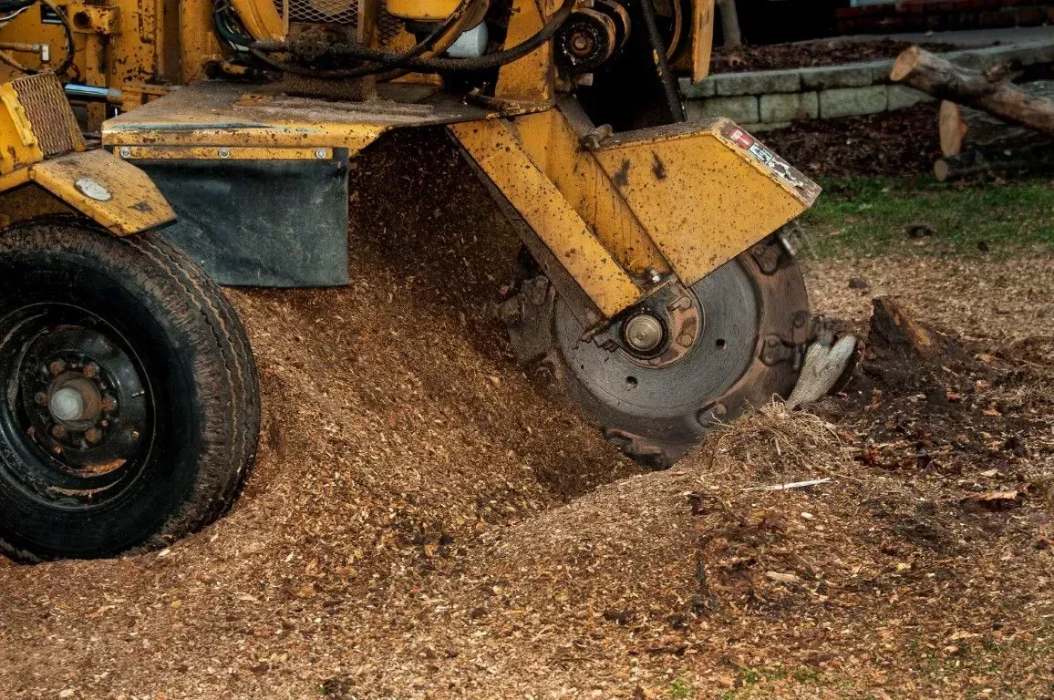 Yellow wood chipper grinding tree debris on a wooded ground surface