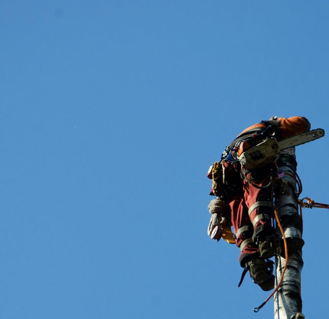 Worker on a utility pole against a clear blue sky, wearing safety gear and carrying equipment