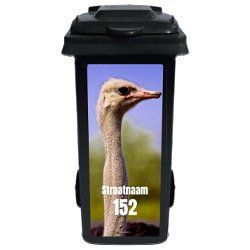 Klikosticker Struisvogel