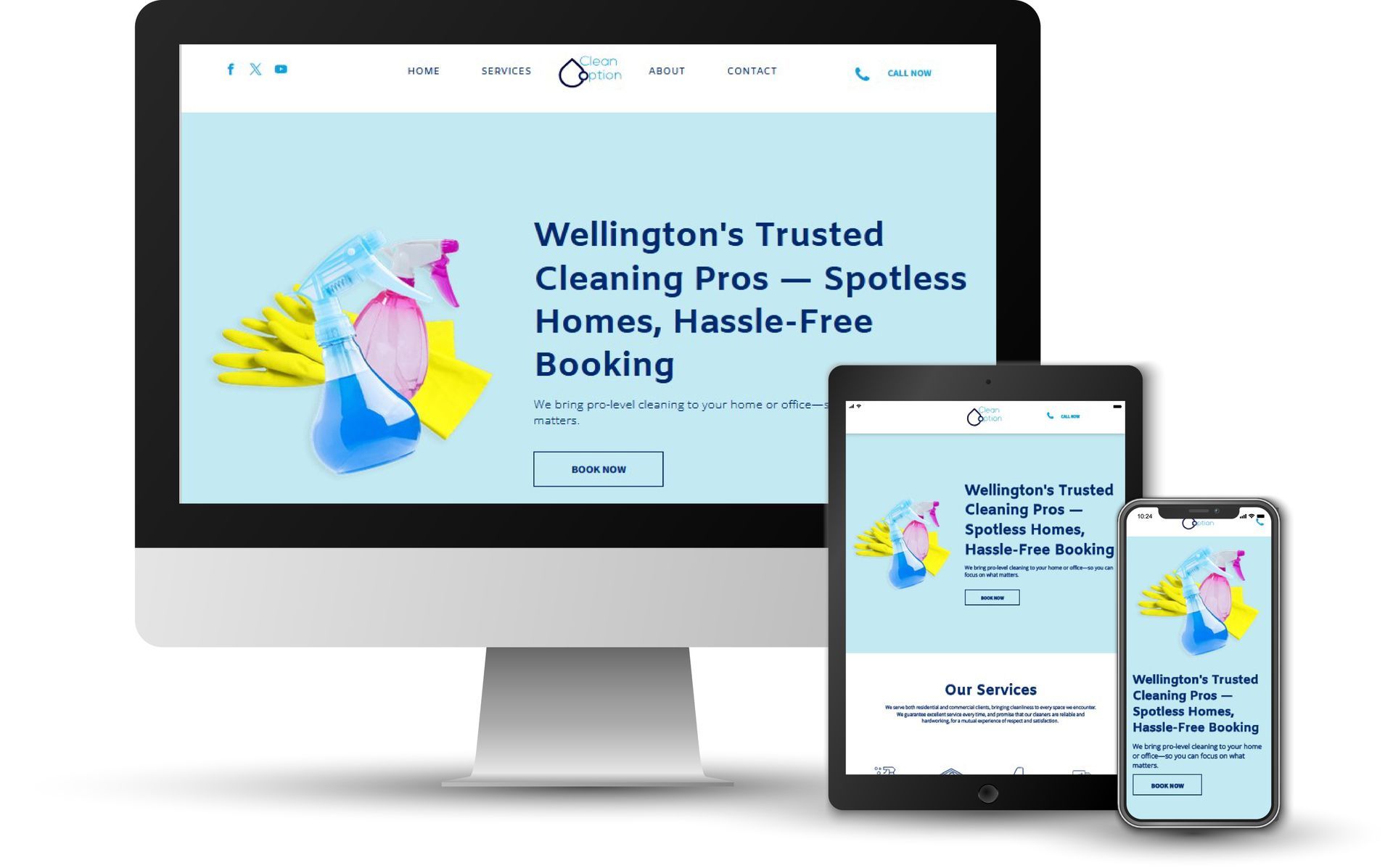 Clean Options website