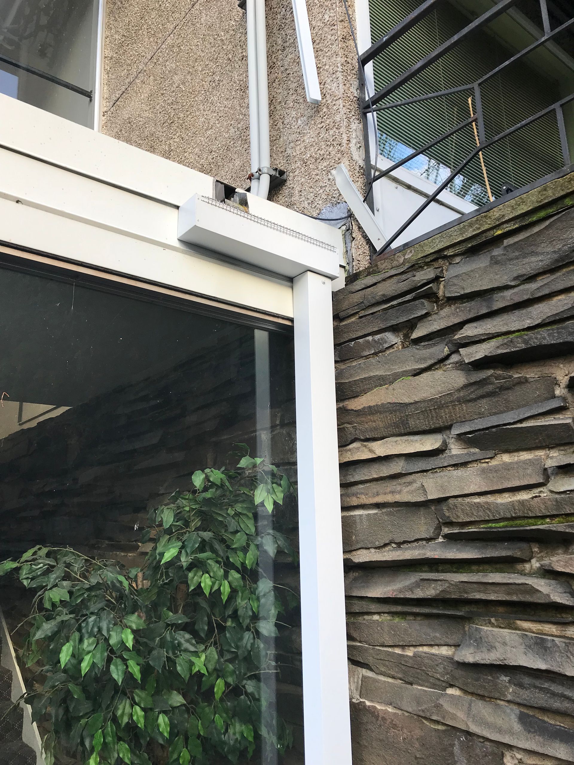 White window frame next to a stone wall with an exterior gutter and a glass panel reflecting a green plant.