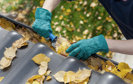 Gutter maintenance