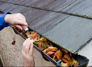 We provide quality gutter repair and cleaning services