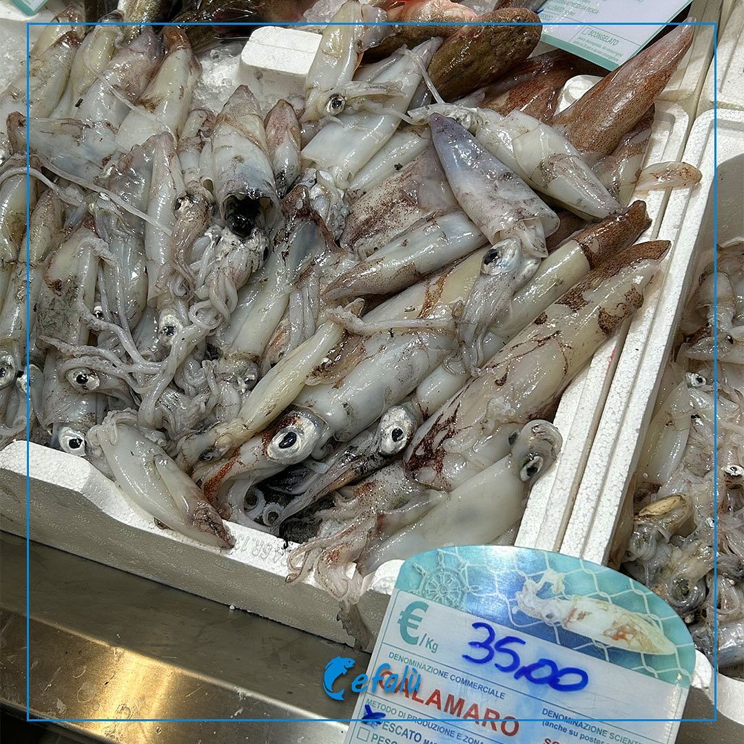 Una scatola di calamari con un cartellino del prezzo che dice 35,00