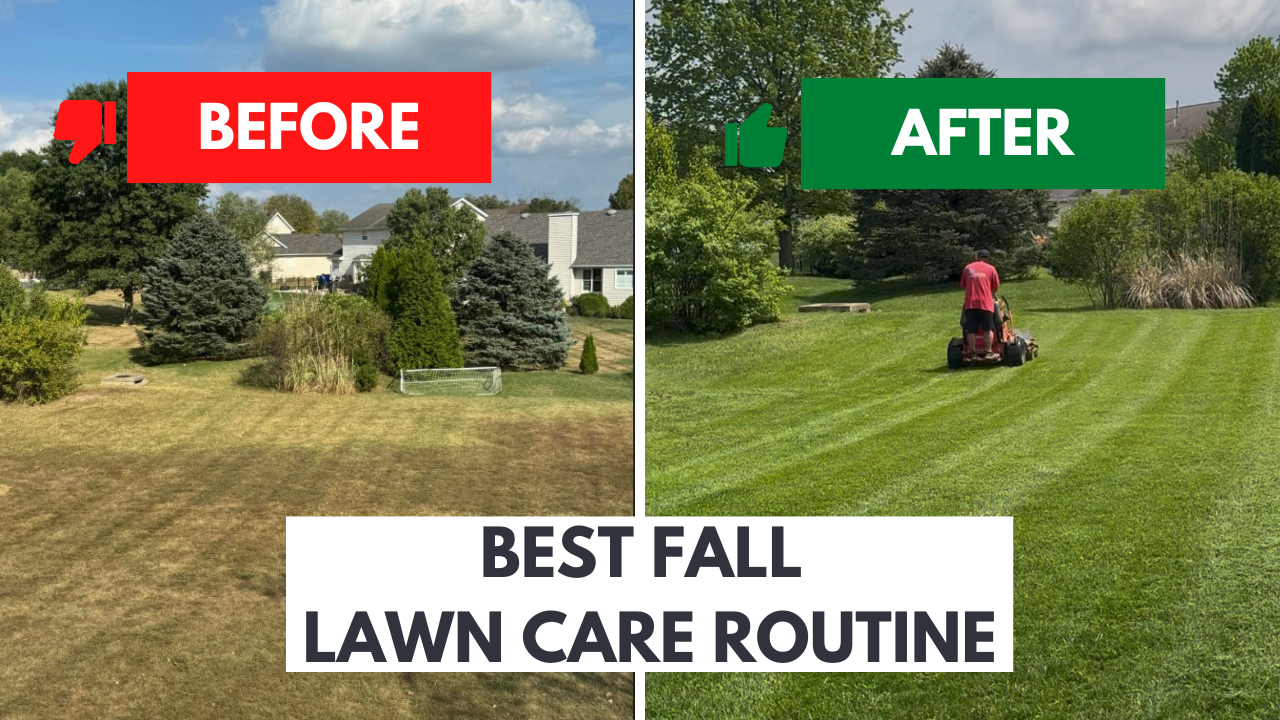 Why lawn fertilization is key to a healthy yard | Hackmann Lawn | St. Peters, MO