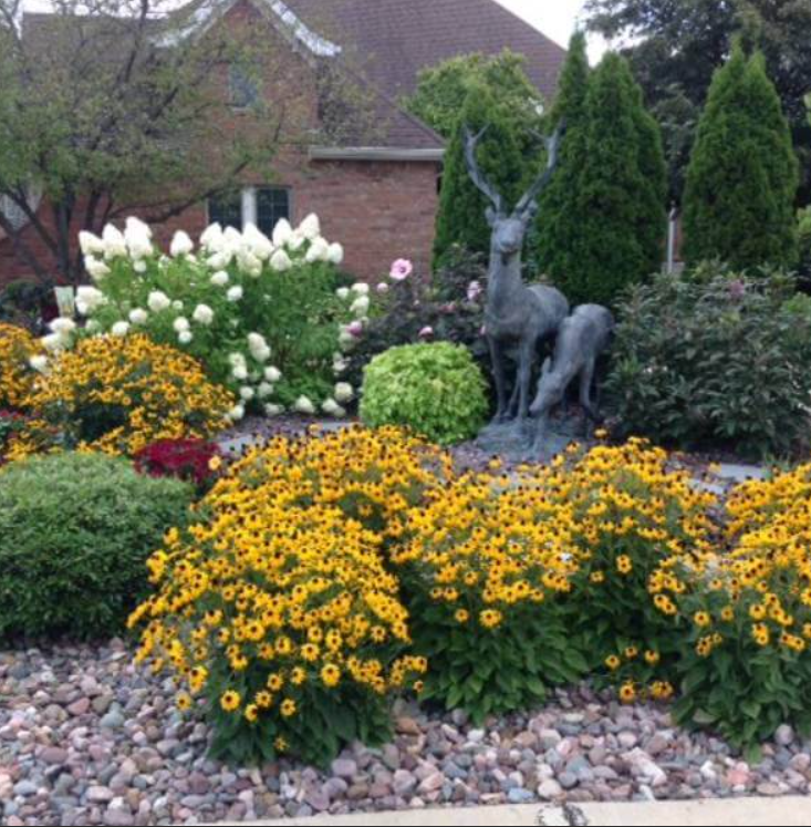 Hackmann Lawn & Landscape | Pro Garden Tips | St. Charles MO