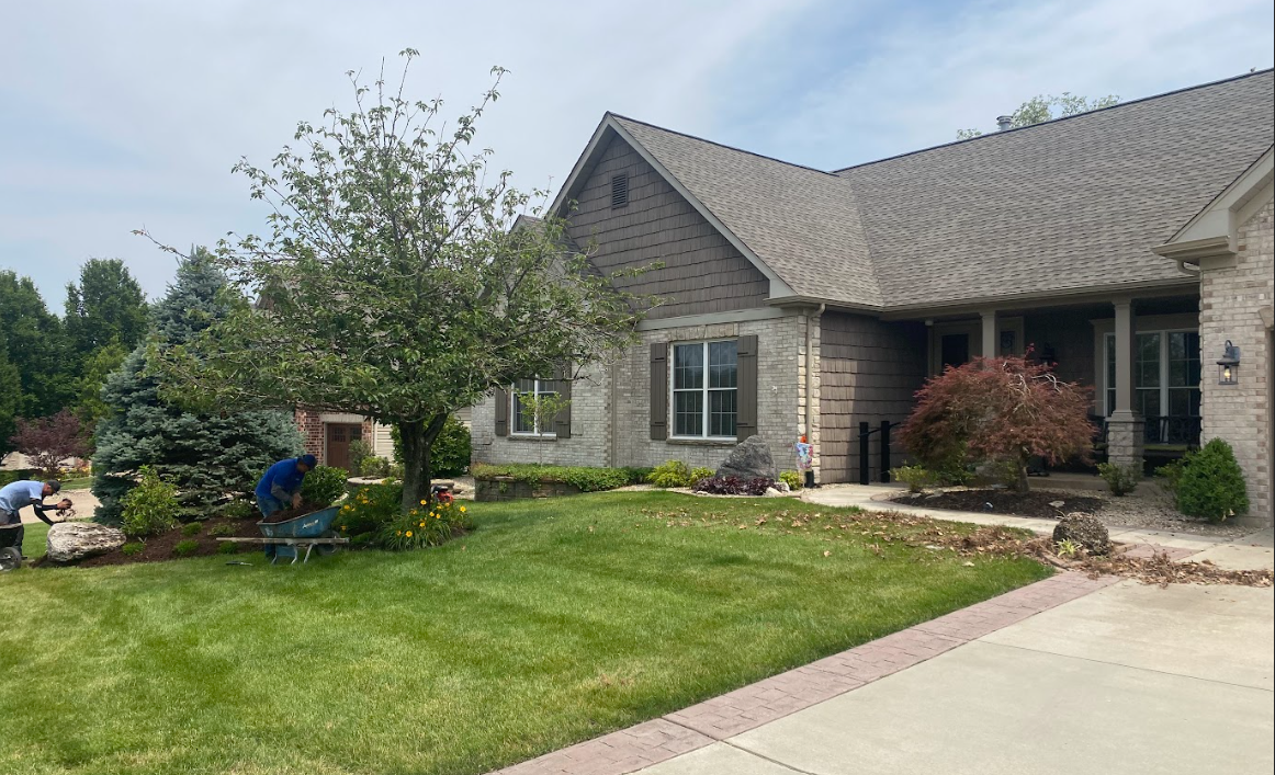 Mulch & Fertilizer around trees and lawn| Hackmann| STL