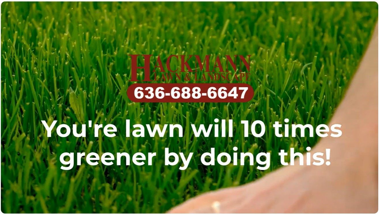 How to get a greener lawn fast| Quick tips anyone can do | Hackmann Lawn St. Charles MO