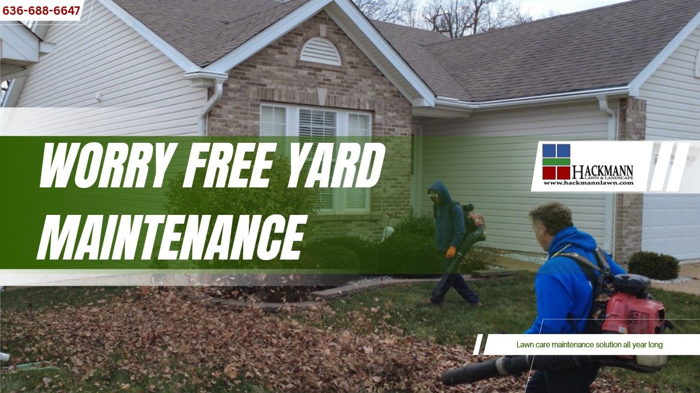 top lawn care tips for Missouri homeowners