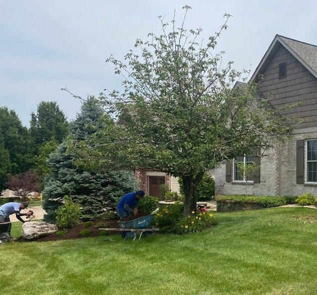 Seasonal lawn mulch| St.Charles MO | Hackmann Lawn & Landscape